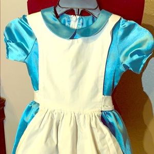 Alice and wonderland costume , only wear once .